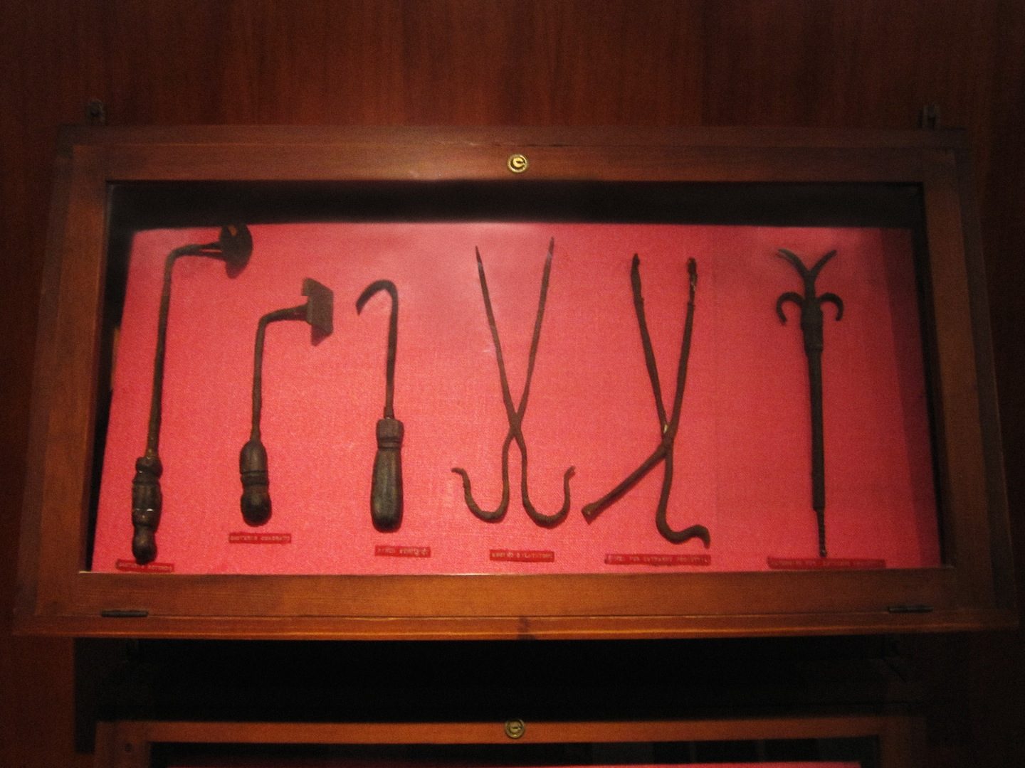 St. Camillus de Lellis' church and museum, Bucchianico (6).jpg